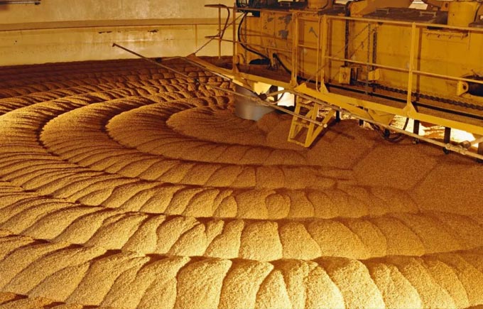 3D雷達掃描儀在糧食行業(yè)應(yīng)用案例 3D雷達掃描儀在糧食行業(yè)應(yīng)用案例